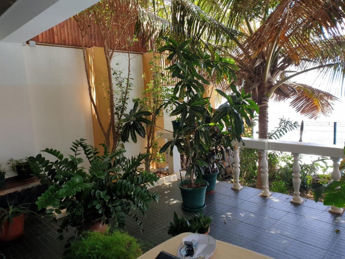 Cactus Guest House Cidade Velha Экстерьер фото
